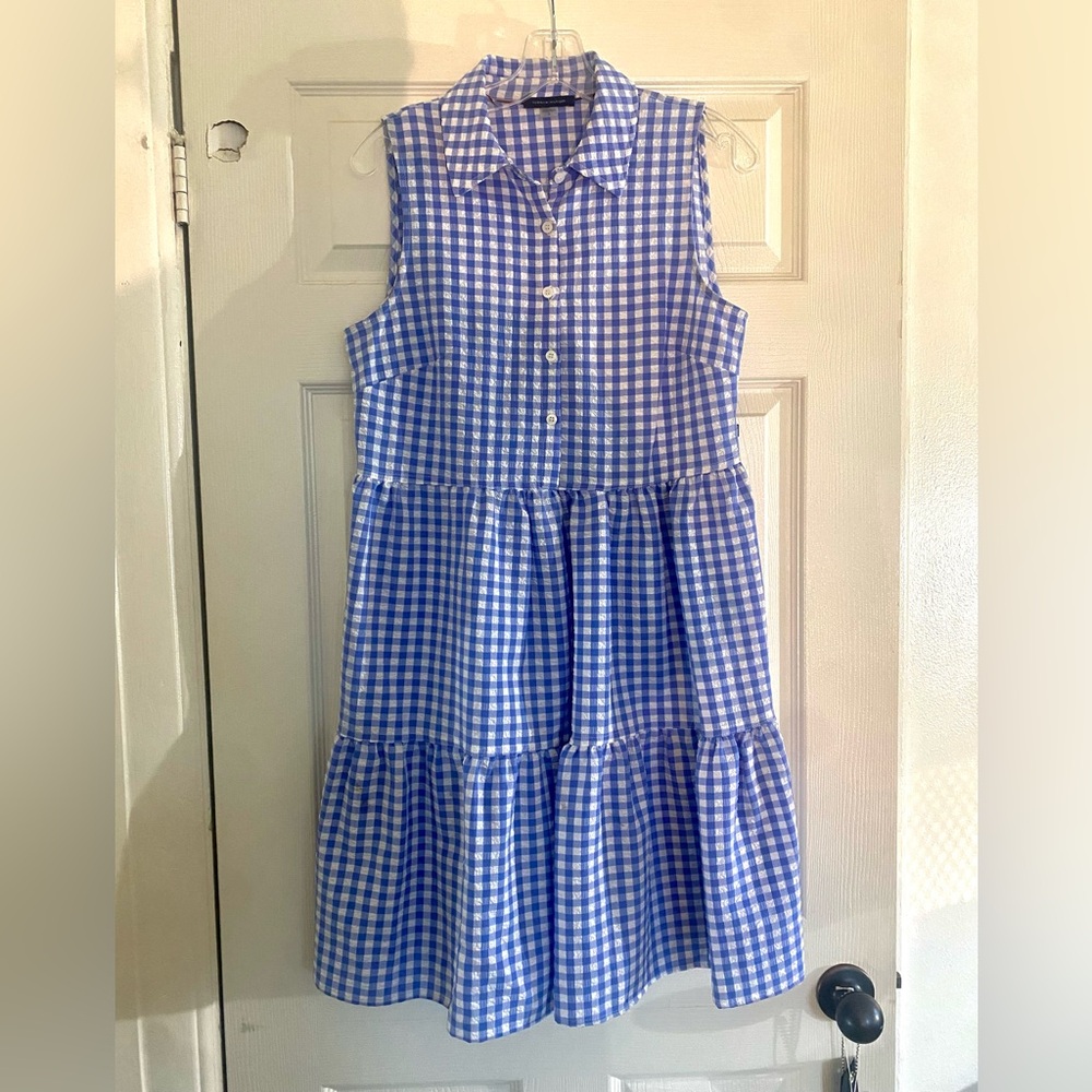 Tommy Hilfiger Blue and White Checkered Dress